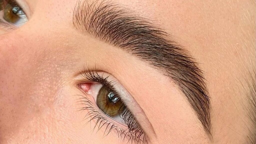 Wimpern färben Wien: gefärbte Augenbraue und dunkle Wimpern in Nahaufnahme