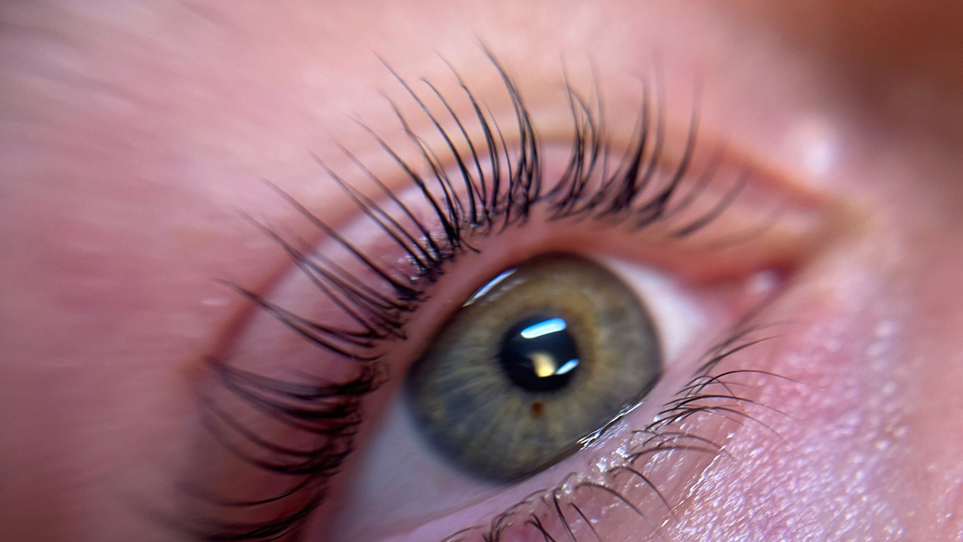 Wimpern fotografieren: Nahaufnahme einer Wimpernverlängerung im Seitenprofil, Elena Keplinger Beauty Academy